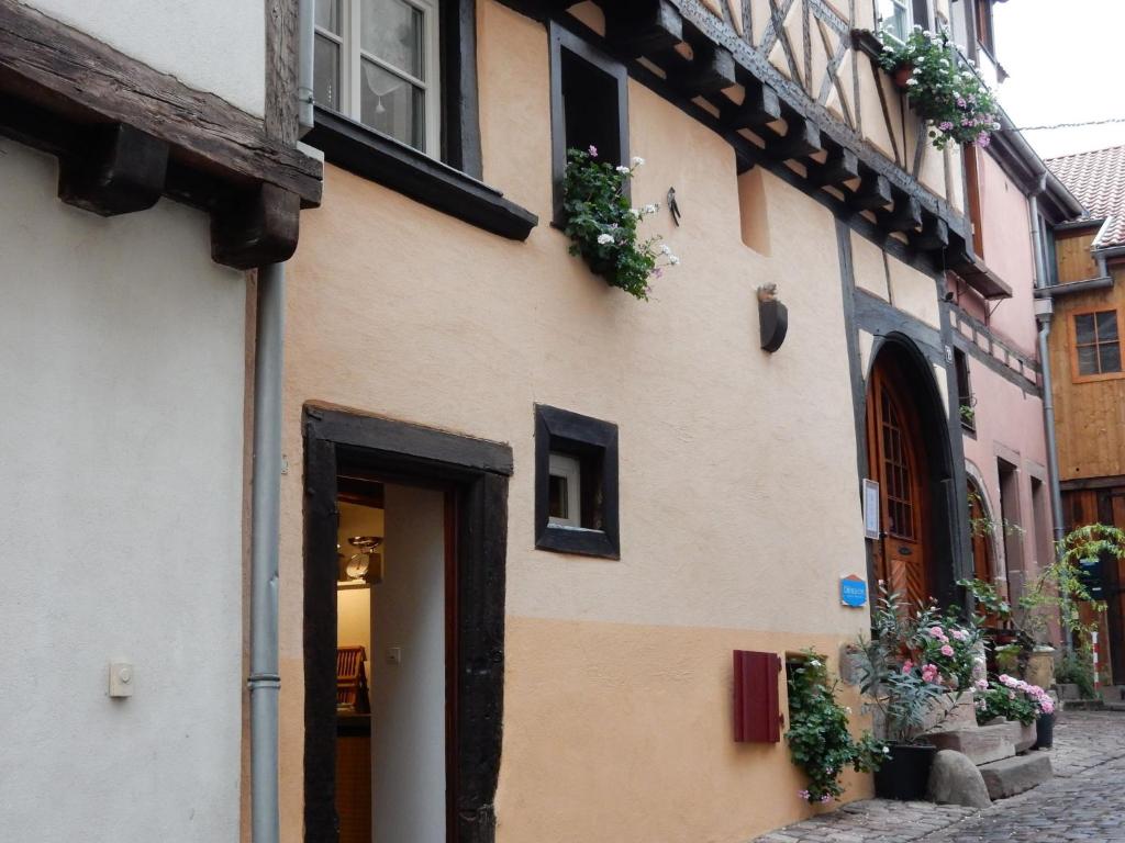 Apartment in Riquewihr near Vineyards – photo 11