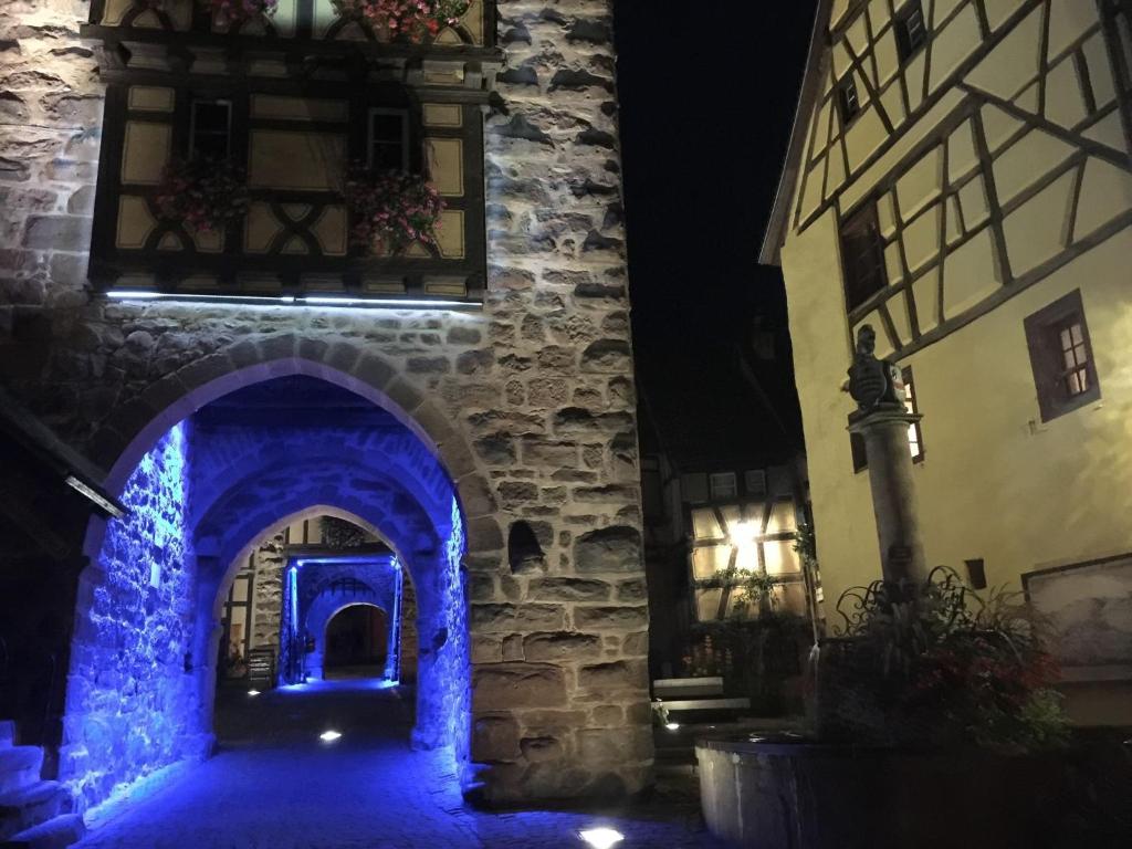 Apartment in Riquewihr near Vineyards – photo 26