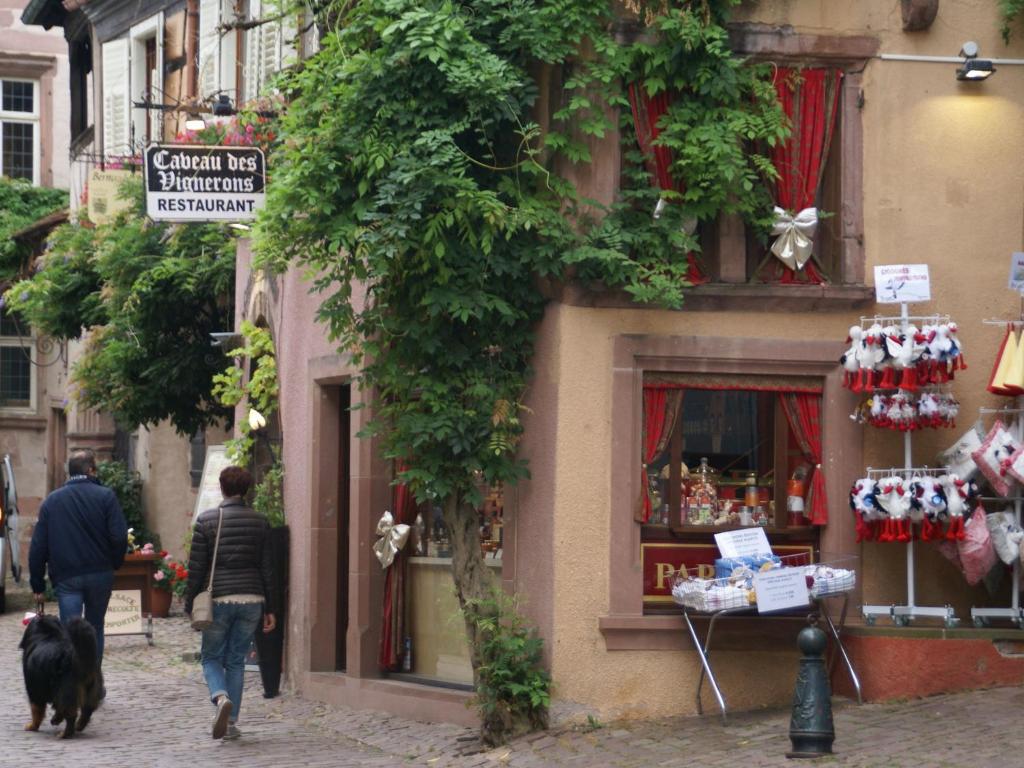 Apartment in Riquewihr near Vineyards – photo 34
