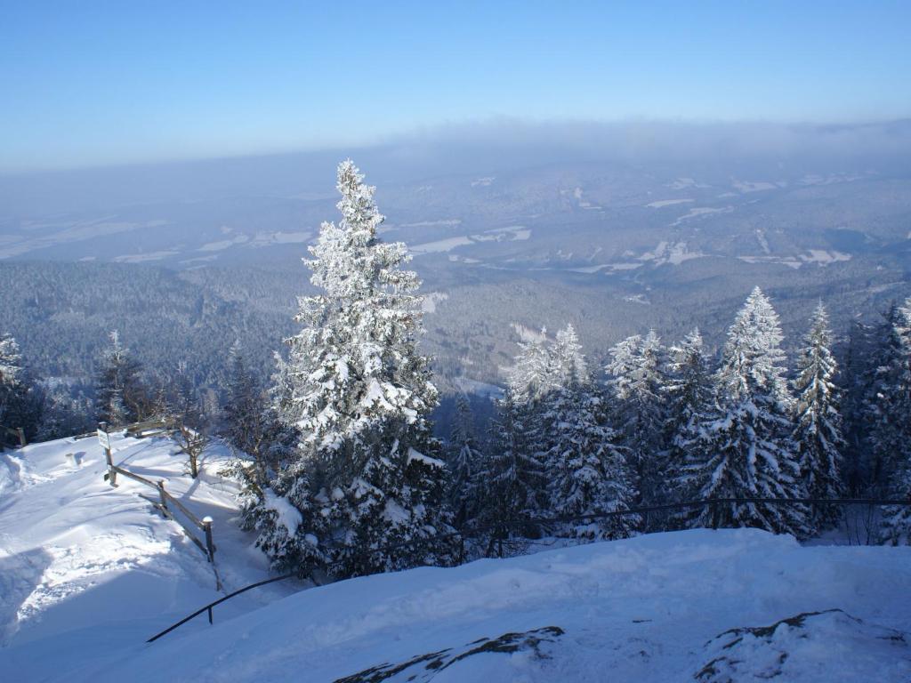 holiday house in the Bavarian Forest v zimě