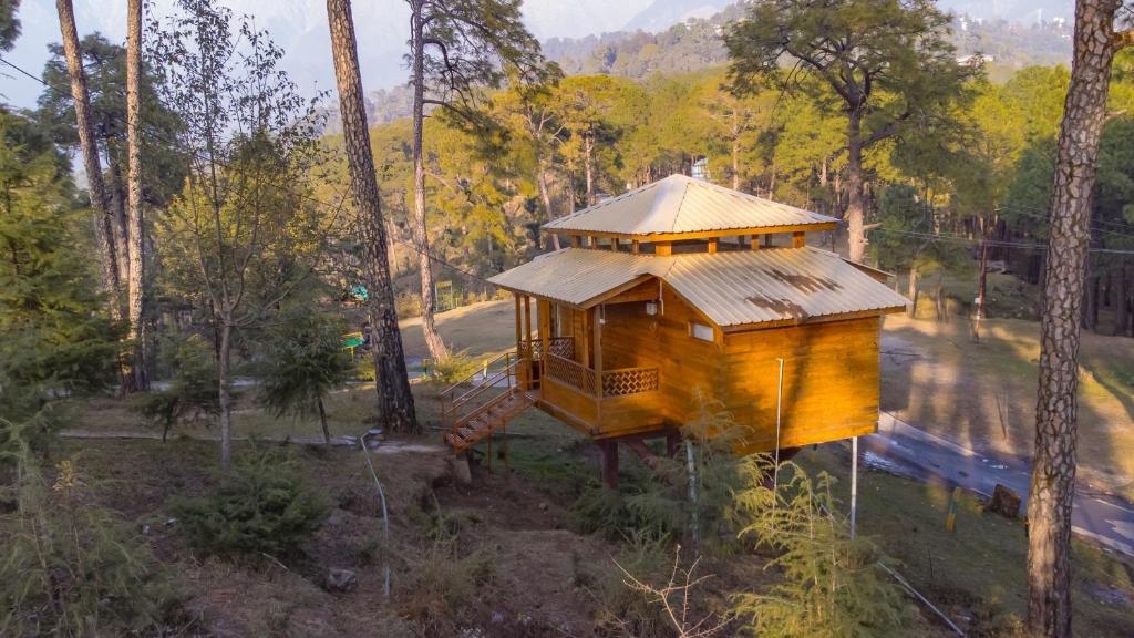 a tree house in the middle of a forest at Forest Rest House Satobari in Dharamshala