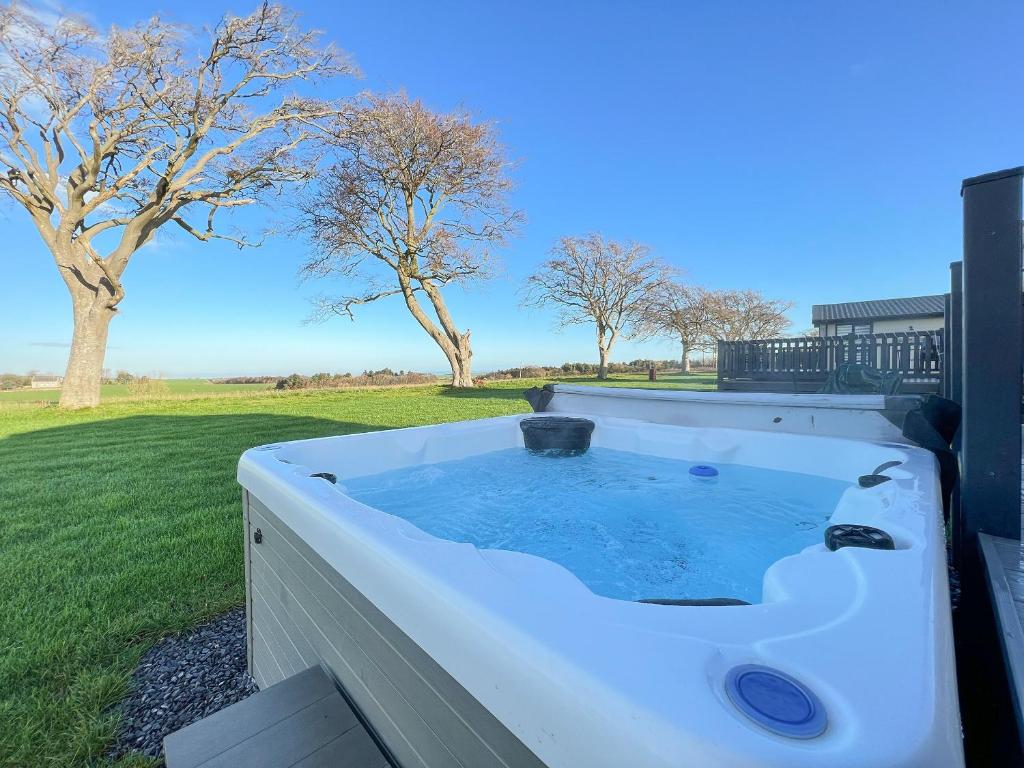 a hot tub in a backyard with trees in the background at Knightsbridge 30 in Cameron