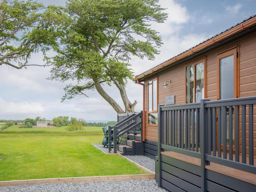 a cabin with a porch and a tree at Rivendale in St. Andrews