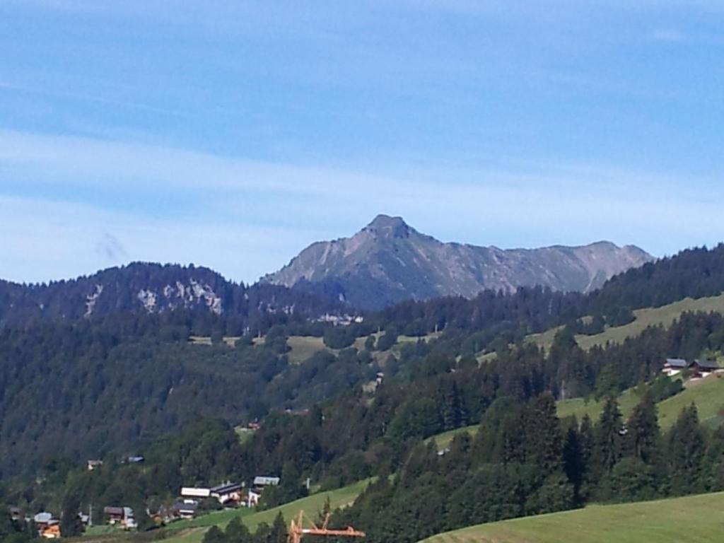 a mountain view of a valley with trees and houses at Magnificent chalet on the mountain slopes in Les Gets