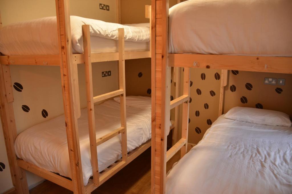 The Black Sheep Hostel photo