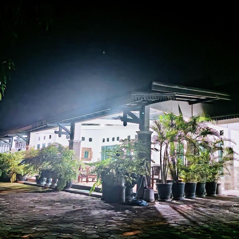 a group of potted plants in front of a building at Adiyantum Homestay in Jetis