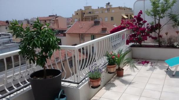 Val Roya Terrasse في نيس: شرفة مع نباتات الفخار على المبنى