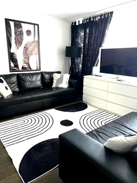 a living room with a black couch and a tv at Executive Suite-Business Edition in Zurich