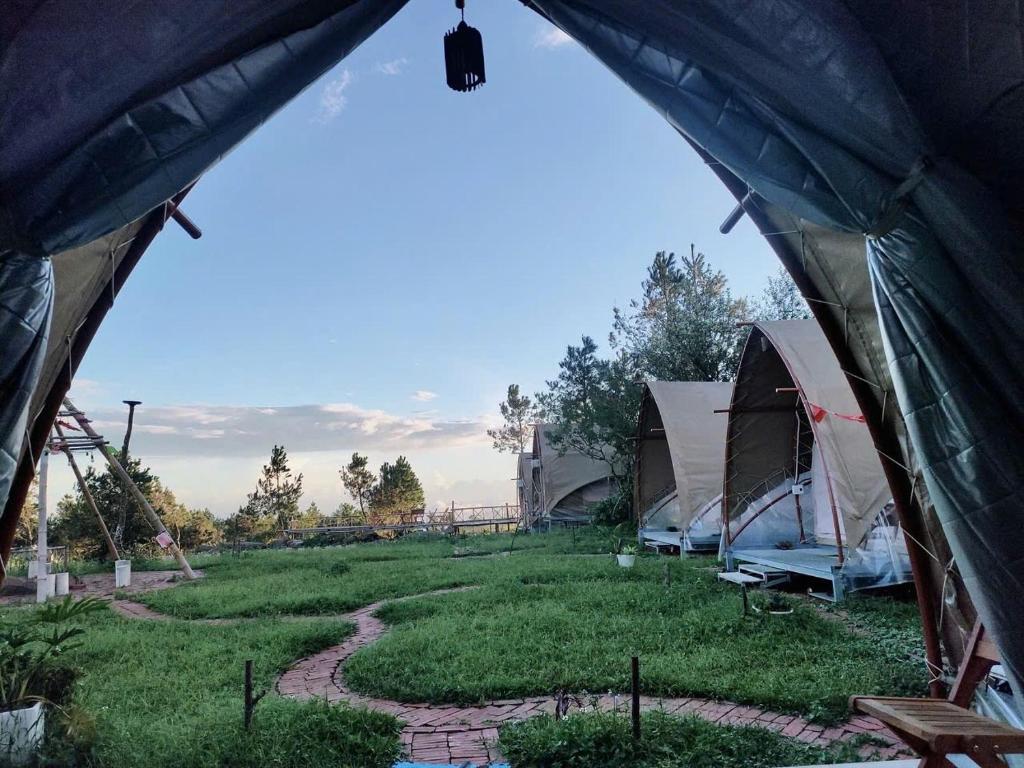 a group of tents in a field of grass at Bamboo Glamping Tà Xùa in Bắc Yên