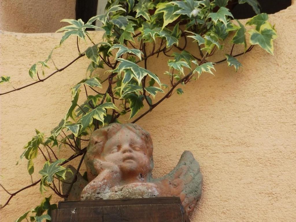 Apartment in Riquewihr with Terrace – photo 20