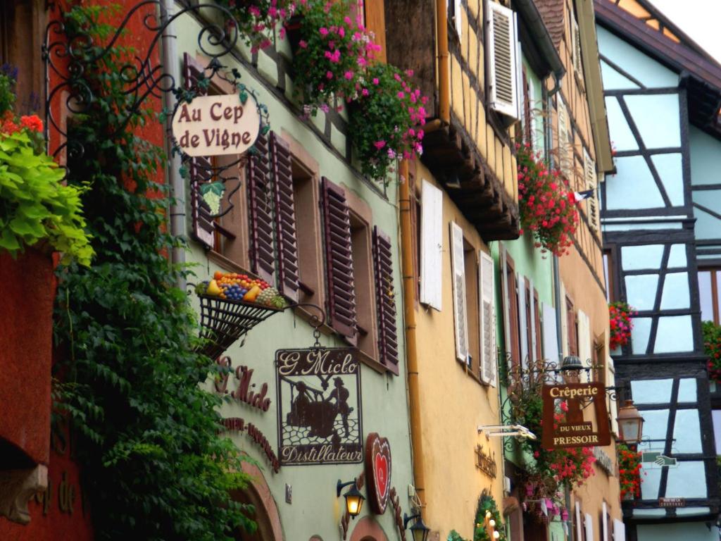Apartment in Riquewihr with Terrace – photo 30