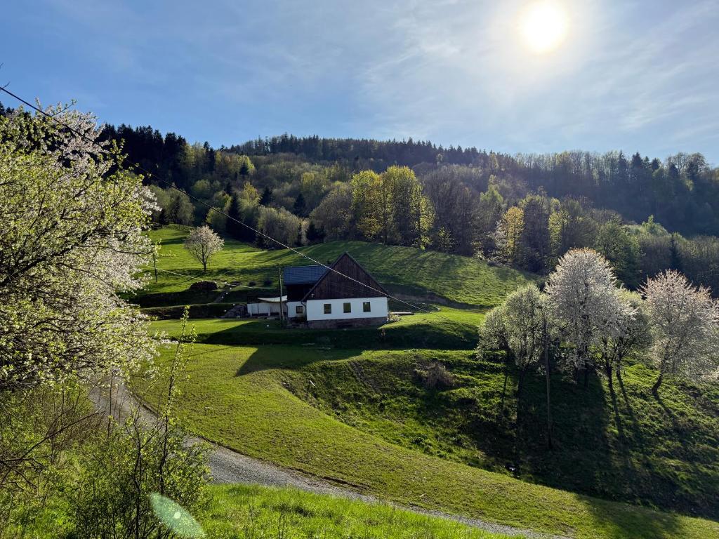 a white house on a green hill with trees at Dom Podgórze 23 in Duszniki Zdrój