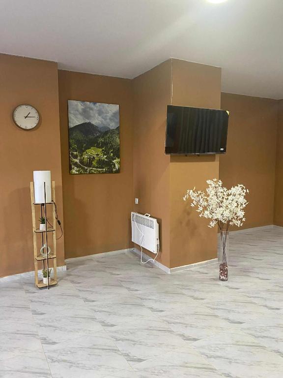 a room with a wall with a television and a vase with flowers at studio in Itʼkhvisi