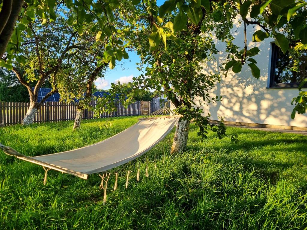 a hammock in the grass in a yard at W Małym Sadzie in Dobra