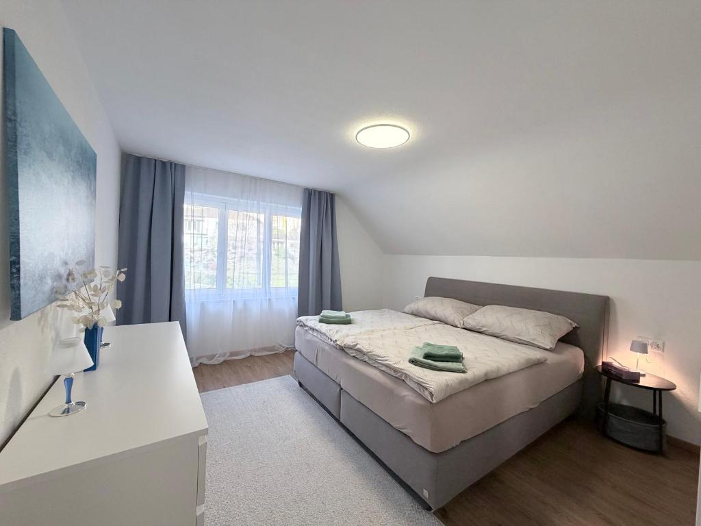 Trewia 8 - Modern Apartment Vaduz Center - free Parking