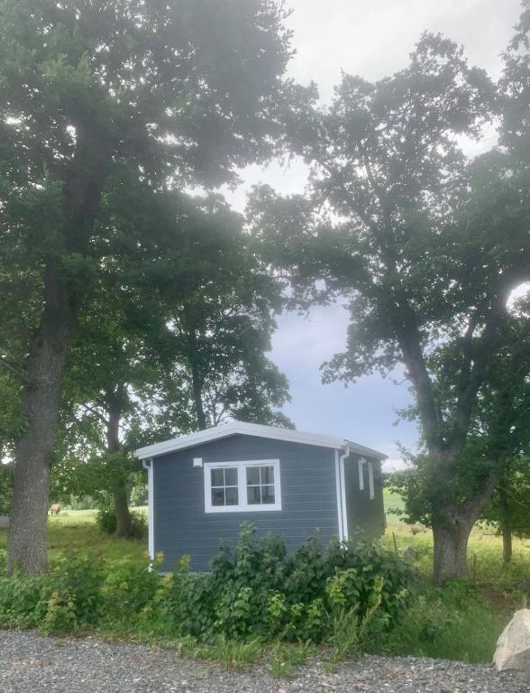 Cozy accommodation on horse farm