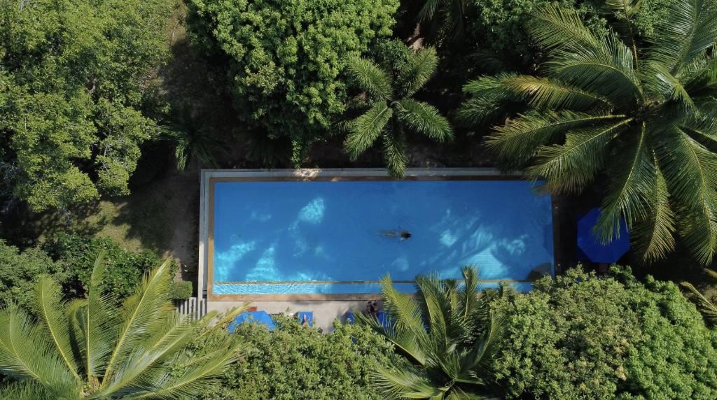 an overhead view of a swimming pool with palm trees at PawPaw Resort in Lamai