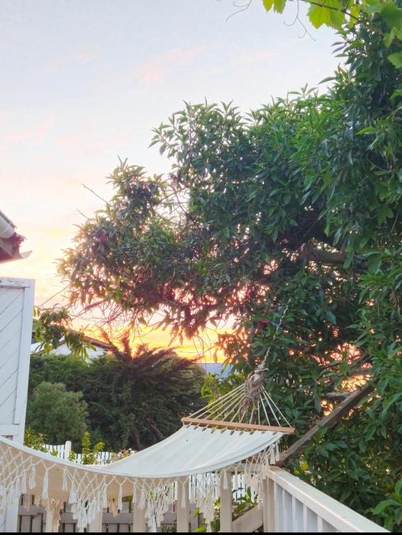 a white fence and a tree with a white roof at Paioneal Hostel l Spa Jacuzzi Sauna in El Quisco