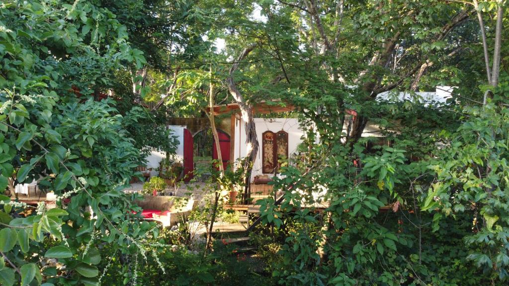 a garden in front of a house with trees at Marbella Retreats Casa Roja in Santa Cruz