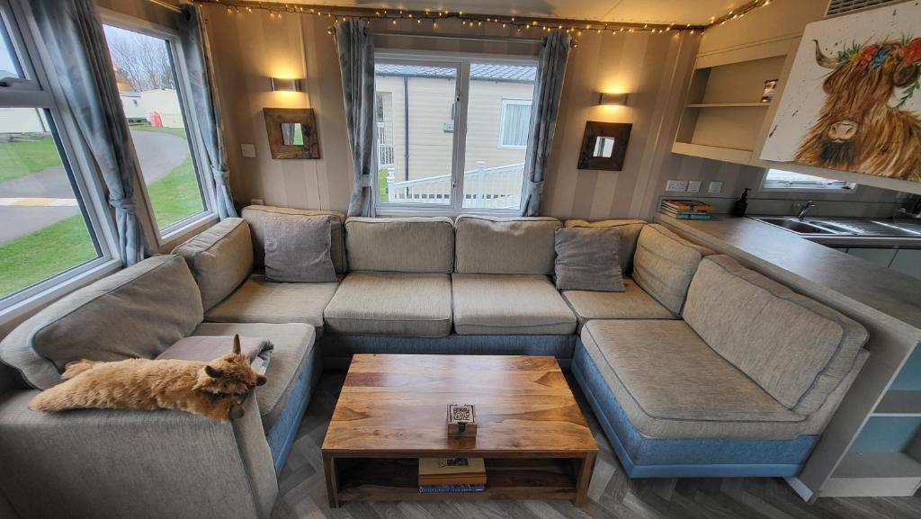 a living room with a couch and a dog laying on a table at East Lothian Escape in Port Seton