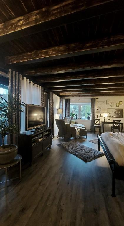 a large room with a bed and a television at Maries bunte Villa in Bad Berleburg