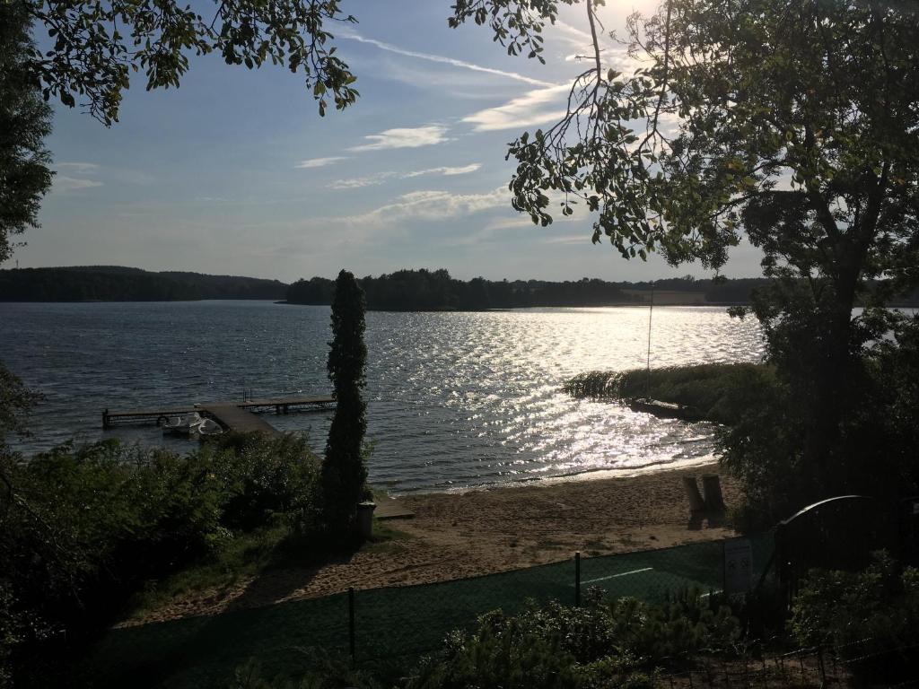 a view of a body of water with a tree at Ośrodek Wypoczynkowy Sielawa in Chrzypsko Wielkie