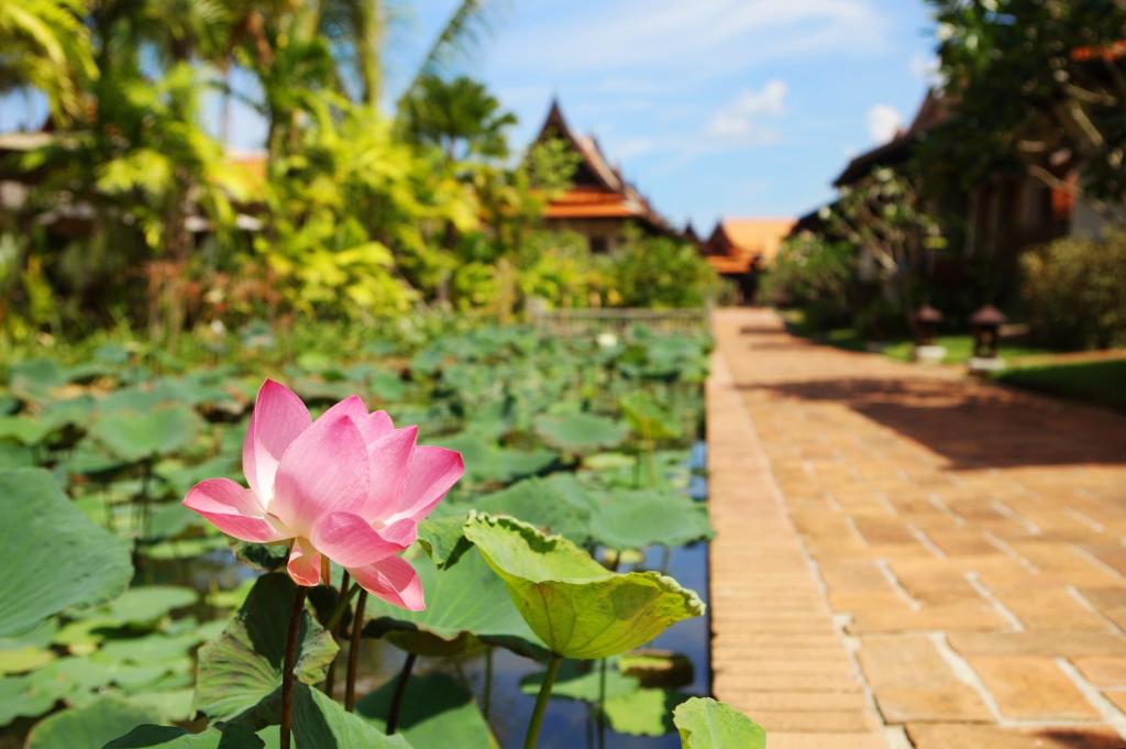 Zahrada ubytování Khaolak Bhandari Resort & Spa