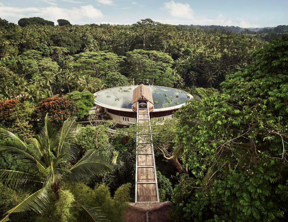 un edificio en medio de un bosque con una escalera en Four Seasons Resort Bali at Sayan, en Ubud