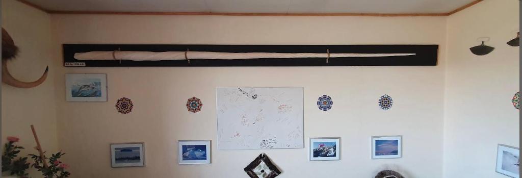 a wall with a baseball bat hanging on a wall at Tent in ices in Nibe