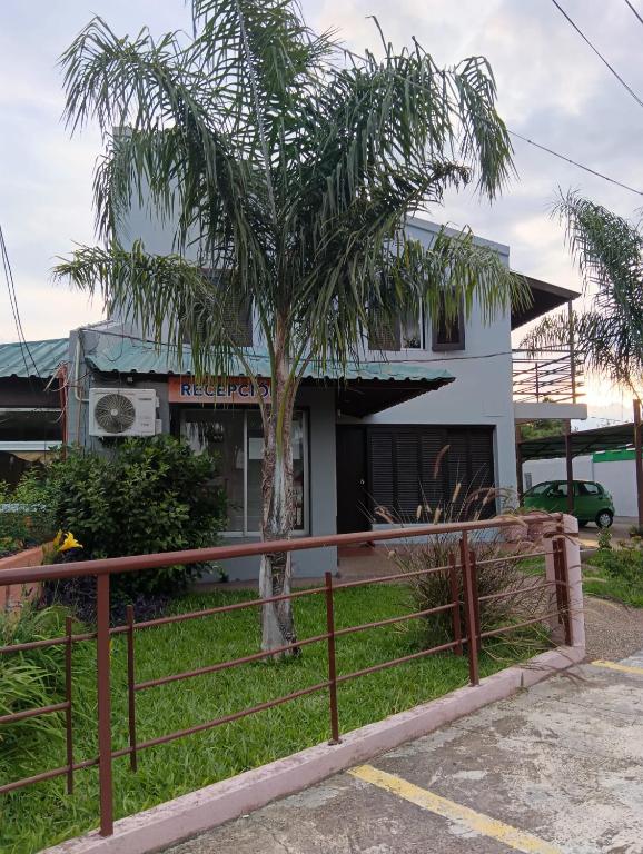 a palm tree in front of a building at Natural Agave in Termas del Daymán