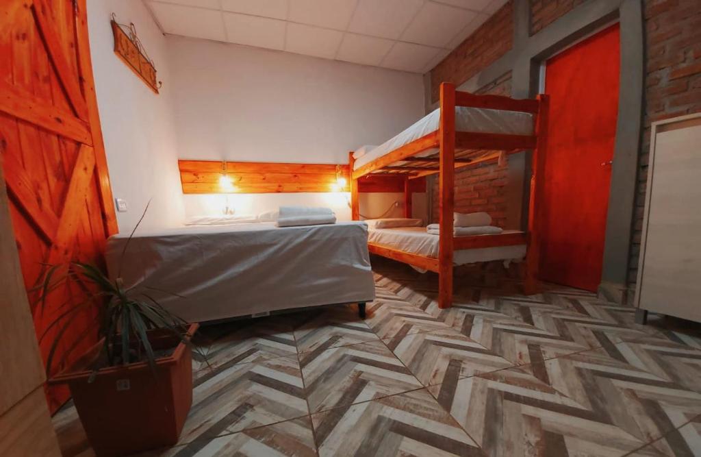 a bedroom with two bunk beds and a potted plant at En Armonía in Tinogasta