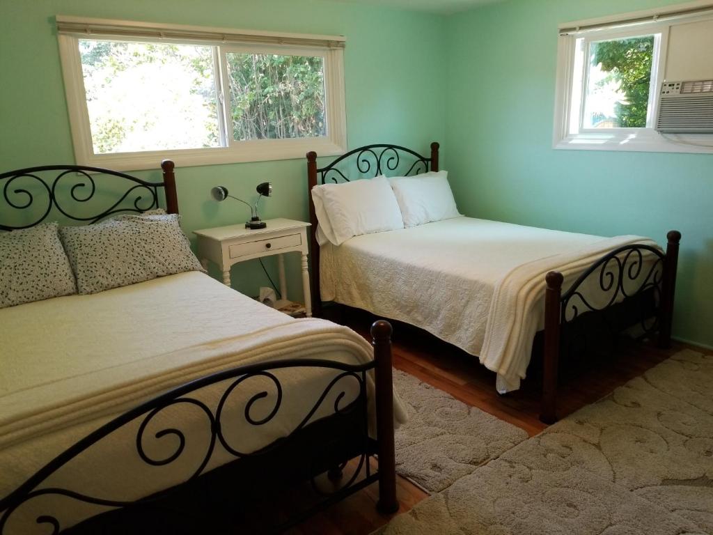 two beds in a room with two windows at Gary's Place in Springfield