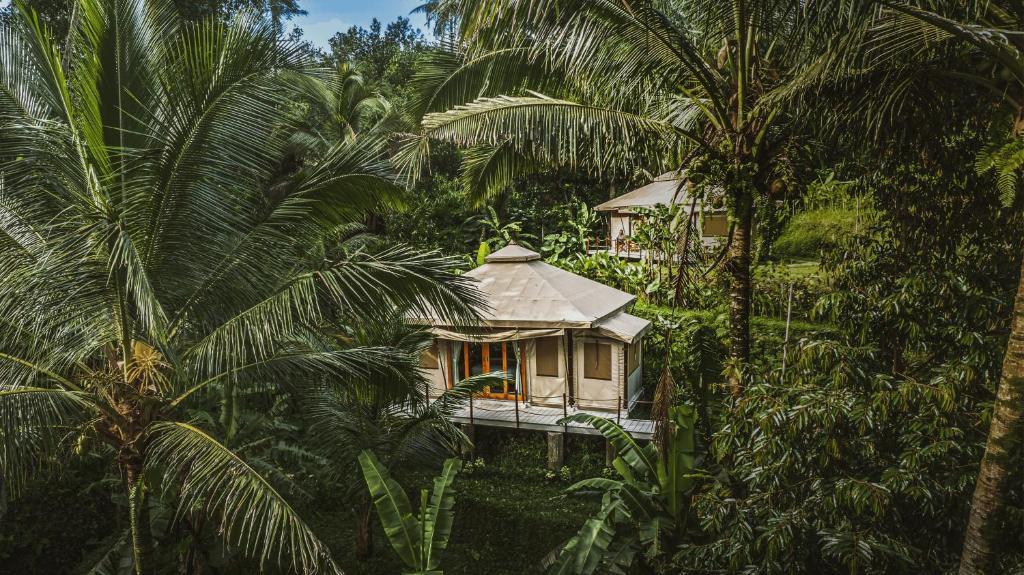 a house in the middle of a jungle with palm trees at Nadi Nature Resort - Adults Only in Tabanan