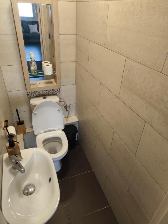 ThePlaceToB Coeur Mulhouse Apartment – photo 13