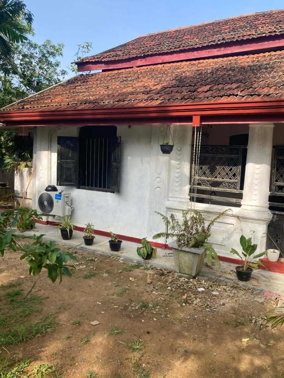 a white house with potted plants in front of it at Pap De Home in Weligama