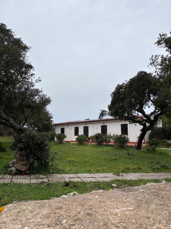Il Lentischio Casa1
