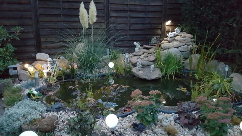 einen Garten mit einem Teich mit Felsen und Pflanzen in der Unterkunft Ferienwohnung Anna in Wernigerode