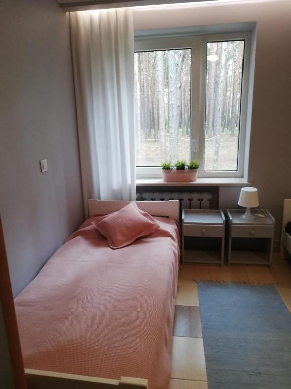 ein Schlafzimmer mit einem Bett vor einem Fenster in der Unterkunft Pensjonat Libra in Karolinów