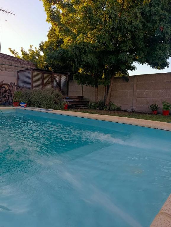 a large blue swimming pool in a yard at La Micha in Chascomús