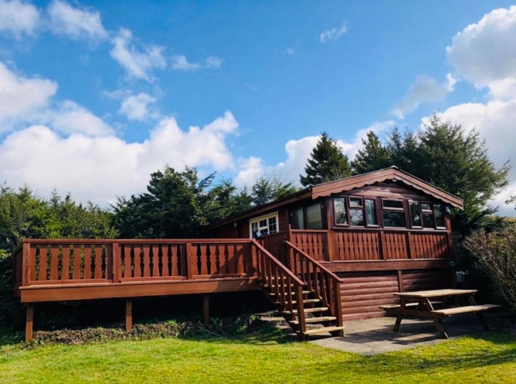 a large wooden cabin with a deck and a bench at Thistledonia in Trawsfynydd