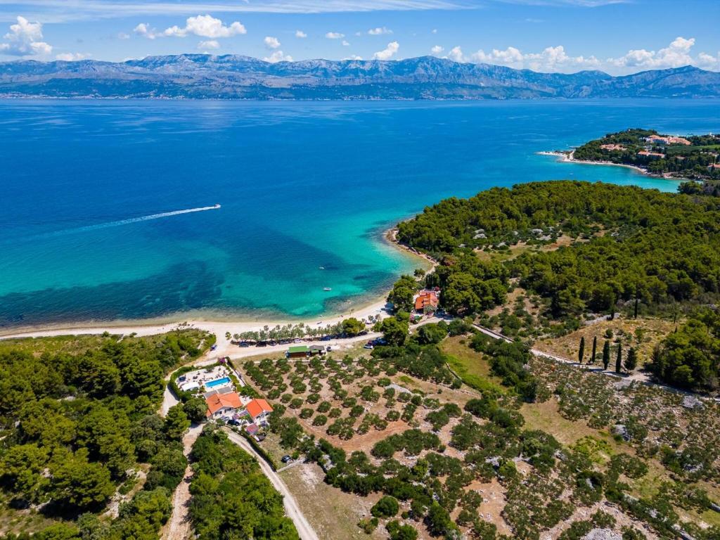 an aerial view of a beach and the ocean at Beachfront House Mir Brač near Supetar with pool and jacuzzi in Mirce