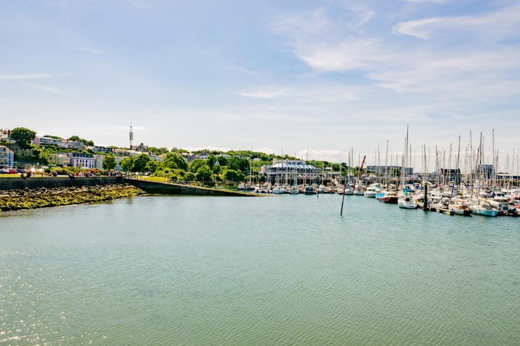 a marina with many boats in the water at Superb Seafront Studio in Dublin