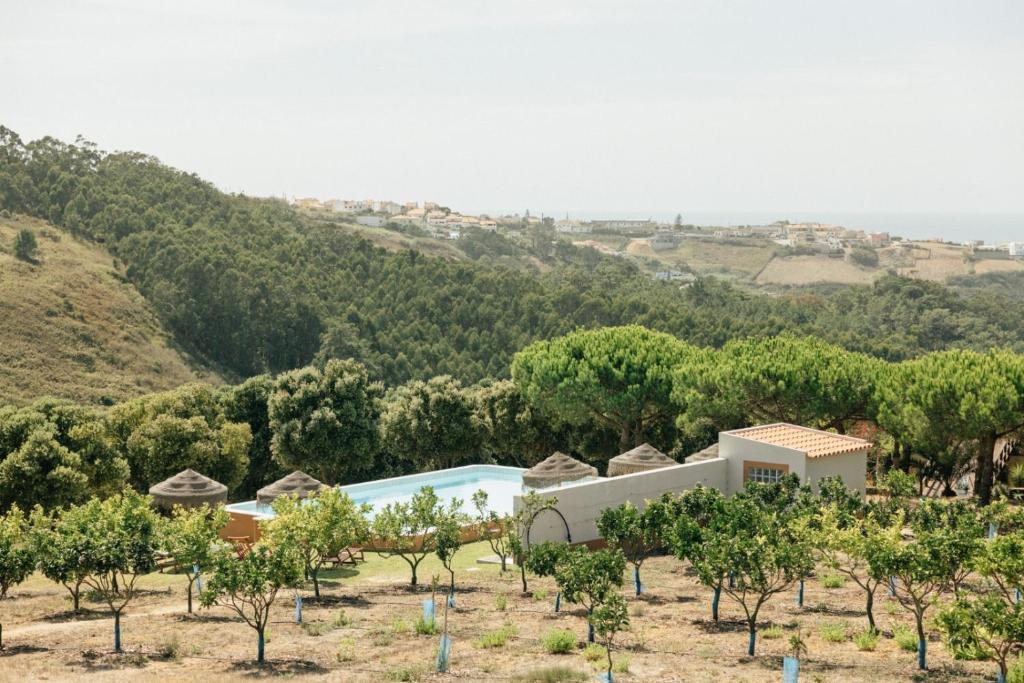 Quinta Raposeiros - Ocean View CountryHouse Ericeira