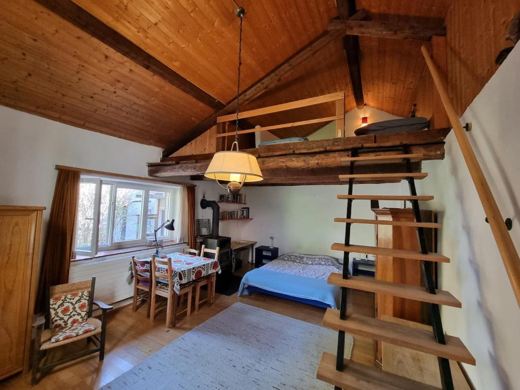 a room with a loft bed and a bedroom at Wild Valley Rustico Piazza in Intragna, Centovalli in Intragna