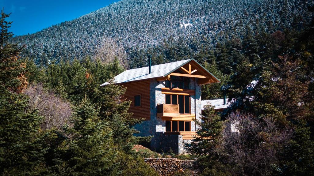a small house on the side of a mountain at Monte Verde Resort Kalavrita in Kalavrita