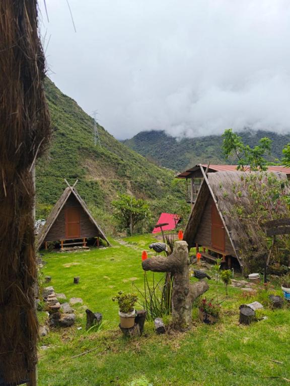 a group of huts in a field with a mountain at Hay & Mountain Huts in Colcapampa