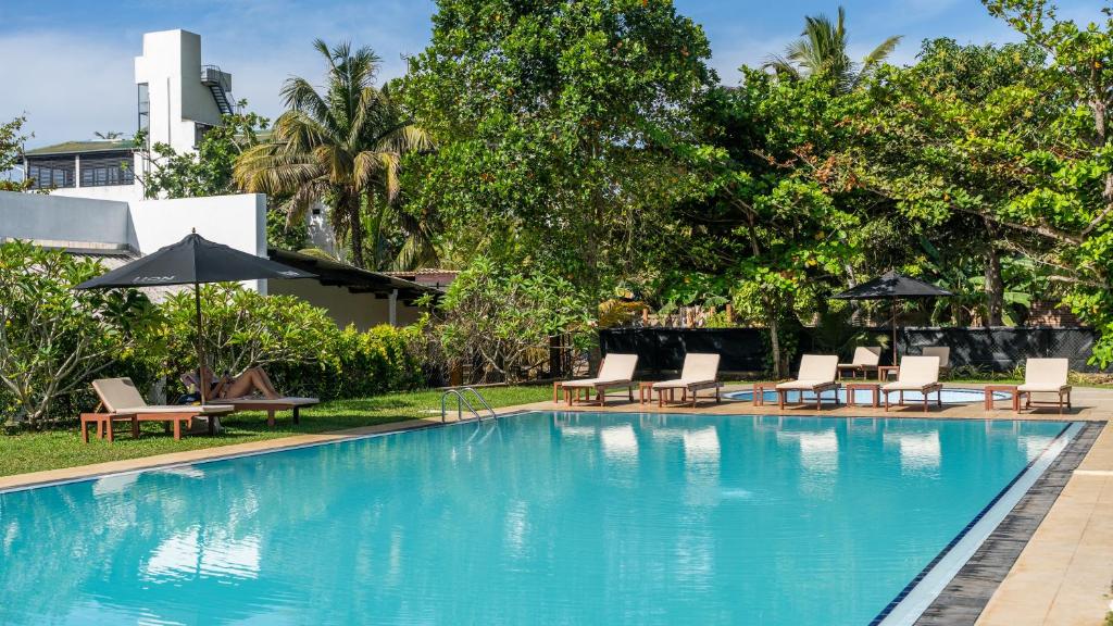 a swimming pool with chairs and umbrellas in a resort at Surfing Elephant in Matara