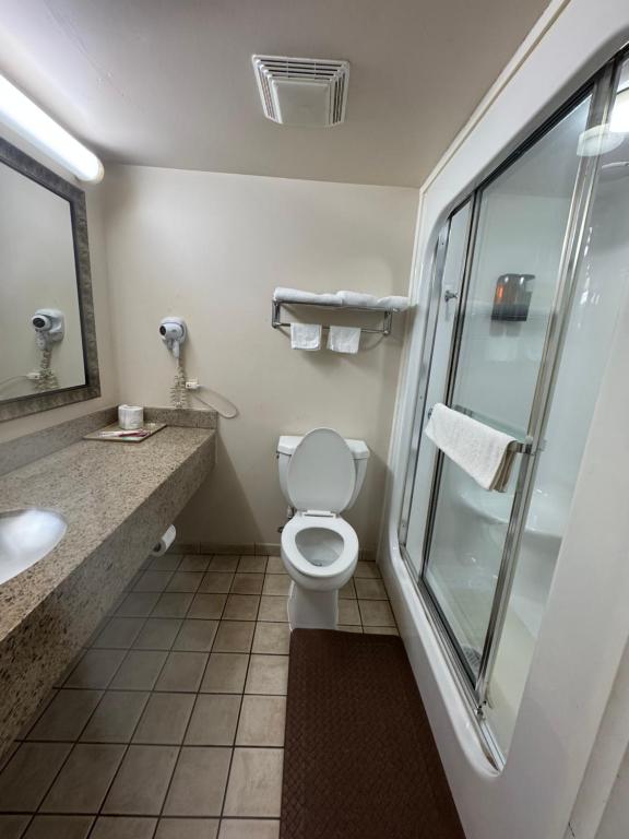 Blue Star Motel photo