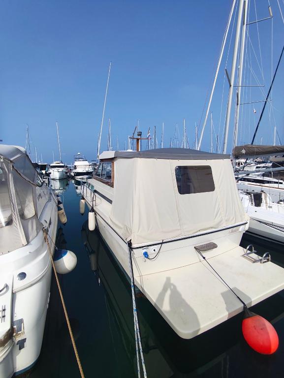 a group of boats are docked in a harbor at Jeddah in Izola