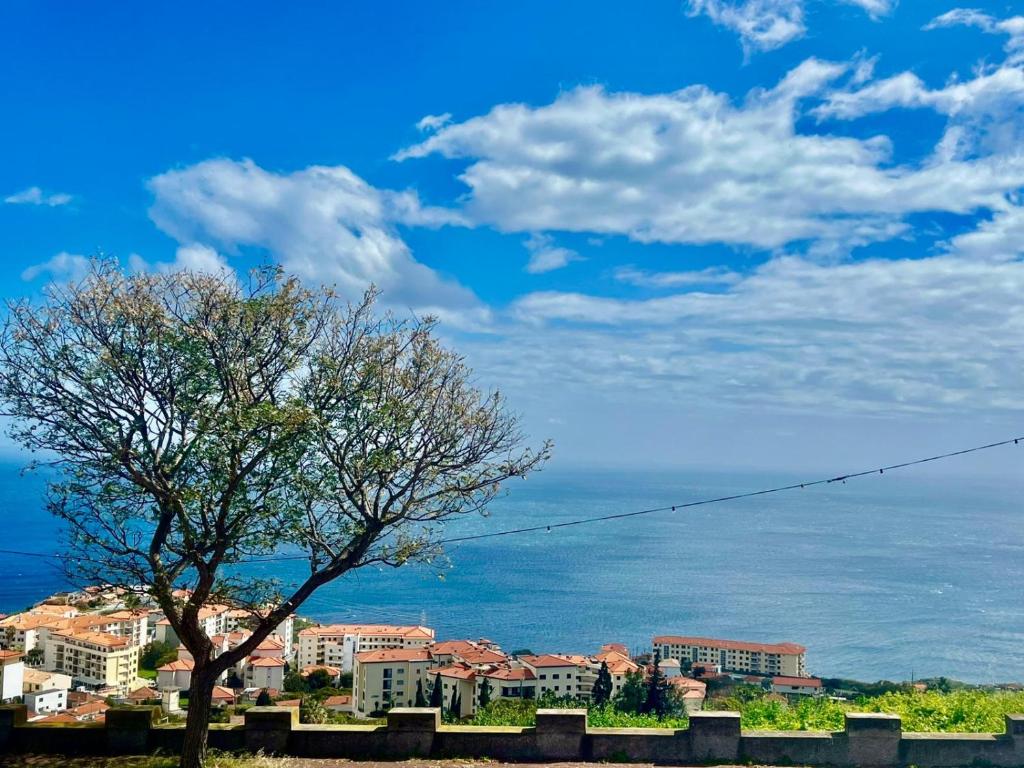 Vista Mar Incrível no Caniço com Estacionamento
